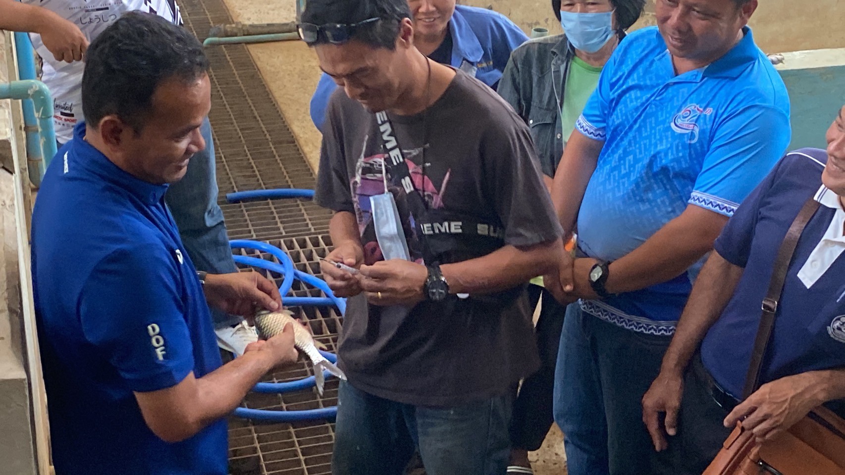 โครงการส่งเสริมอาชีพประมง กิจกรรมพัฒนาศักยภาพเกษตรกรสู่ Young Smart Farmer ประจำปีงบประมาณ 2567..คลิก