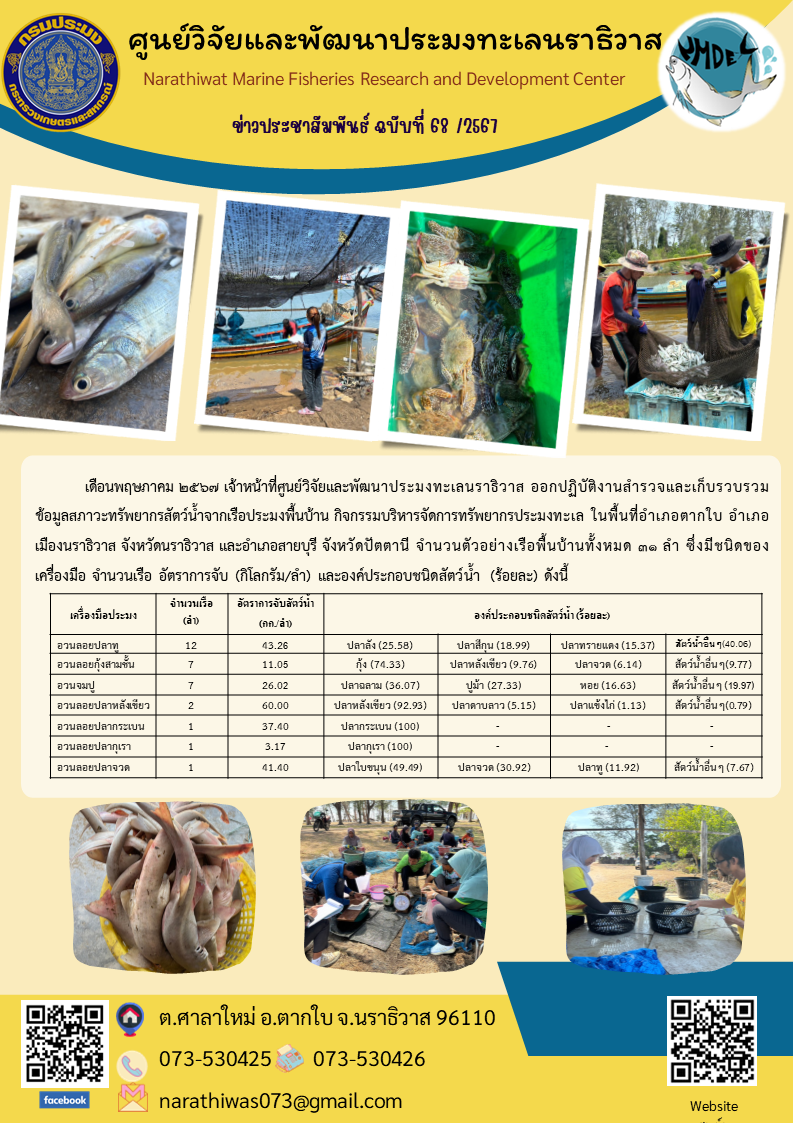 เดือนพฤษภาคม 2567 เจ้าหน้าที่ศูนย์วิจัยและพัฒนาประมงทะเลนราธิวาส ออกปฏิบัติงานสำรวจและเก็บรวบรวมข้อมูลสภาวะทรัพยากรสัตว์น้ำจากเรือประมงพื้นบ้าน..คลิก