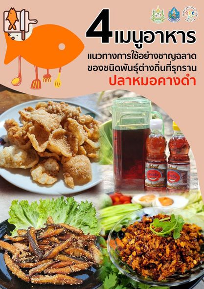 แนวทางการใช้ประโยชน์จากชนิดพันธุ์ต่างถิ่นที่รุกราน : ปลาหมอคางดำ