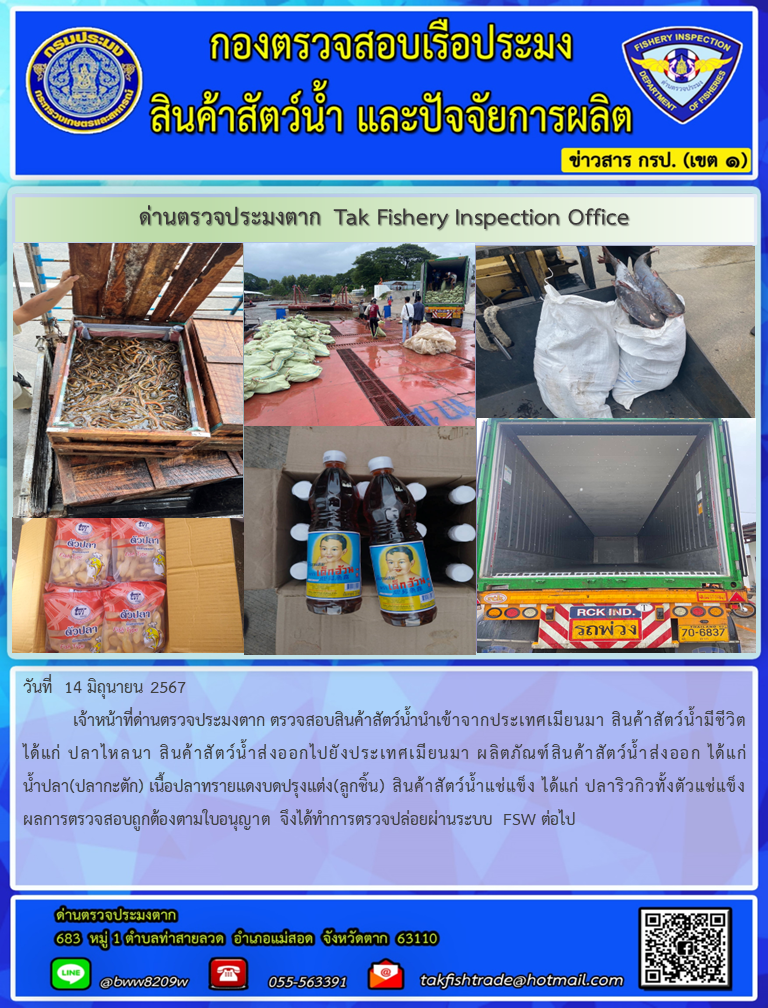 วันที่  14 มิถุนายน 2567           เจ้าหน้าที่ด่านตรวจประมงตาก ตรวจสอบสินค้าสัตว์น้ำนำเข้าจากประเทศเมียนมา สินค้าสัตว์น้ำมีชีวิต ได้แก่ ปลาไหลนา สินค้าสัตว์น้ำส่งออกไปยังประเทศเมียนมา ผลิตภัณฑ์สินค้าสัตว์น้ำส่งออก ได้แก่ น้ำปลา(ปลากะตัก) เนื้อปลาทรายแดงบดปรุงแต่ง(ลูกชิ้น) สินค้าสัตว์น้ำแช่แข็ง ได้แก่ ปลาริวกิวทั้งตัวแช่แข็ง ผลการตรวจสอบถูกต้องตามใบอนุญาต จึงได้ทำการตรวจปล่อยผ่านระบบ FSW ต่อไป..คลิก