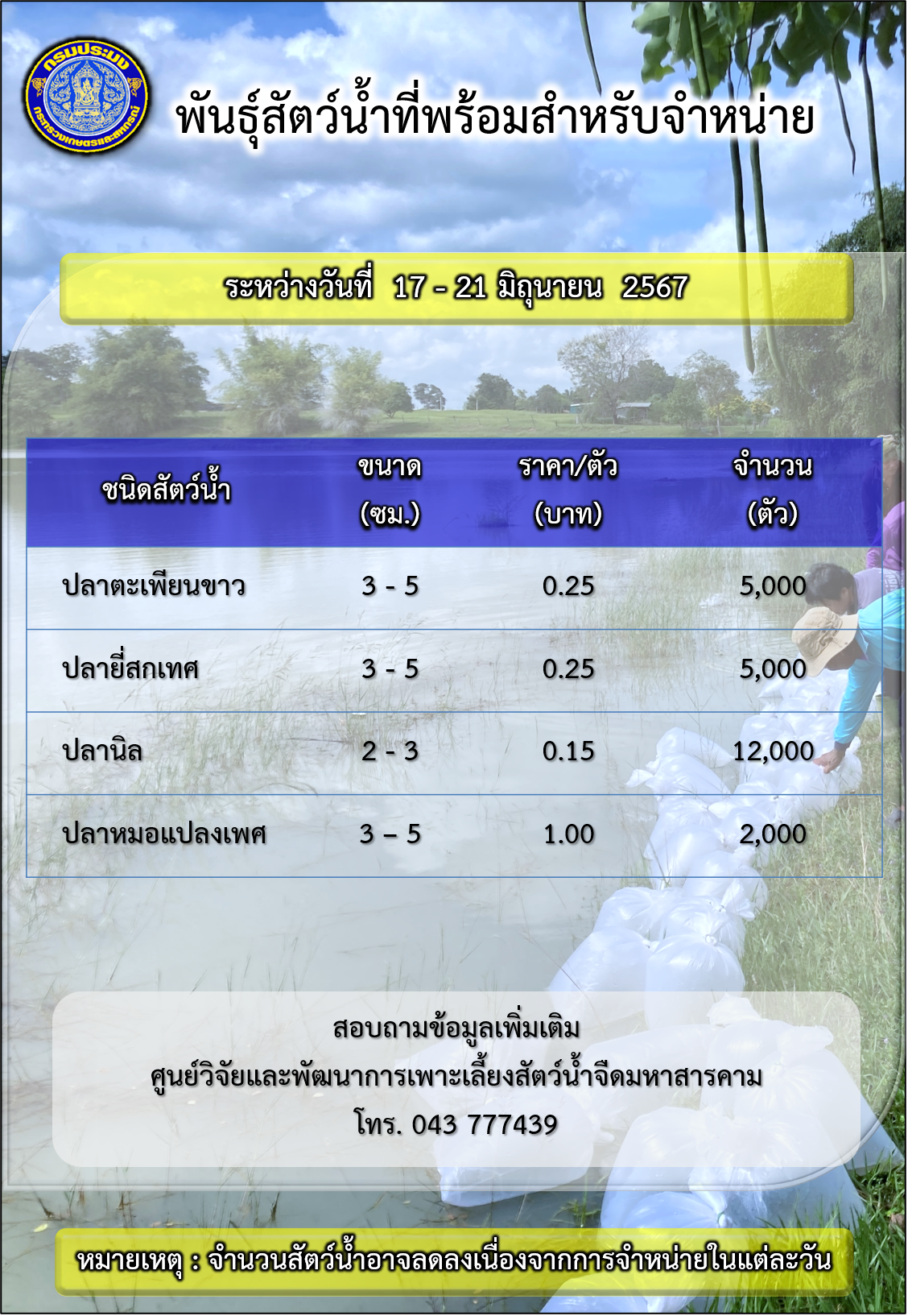 พันธุ์สัตว์น้ำที่พร้อมสำหรับจำหน่าย ระหว่างวันที่ 17 – 21 มิถุนายน 2567..คลิก