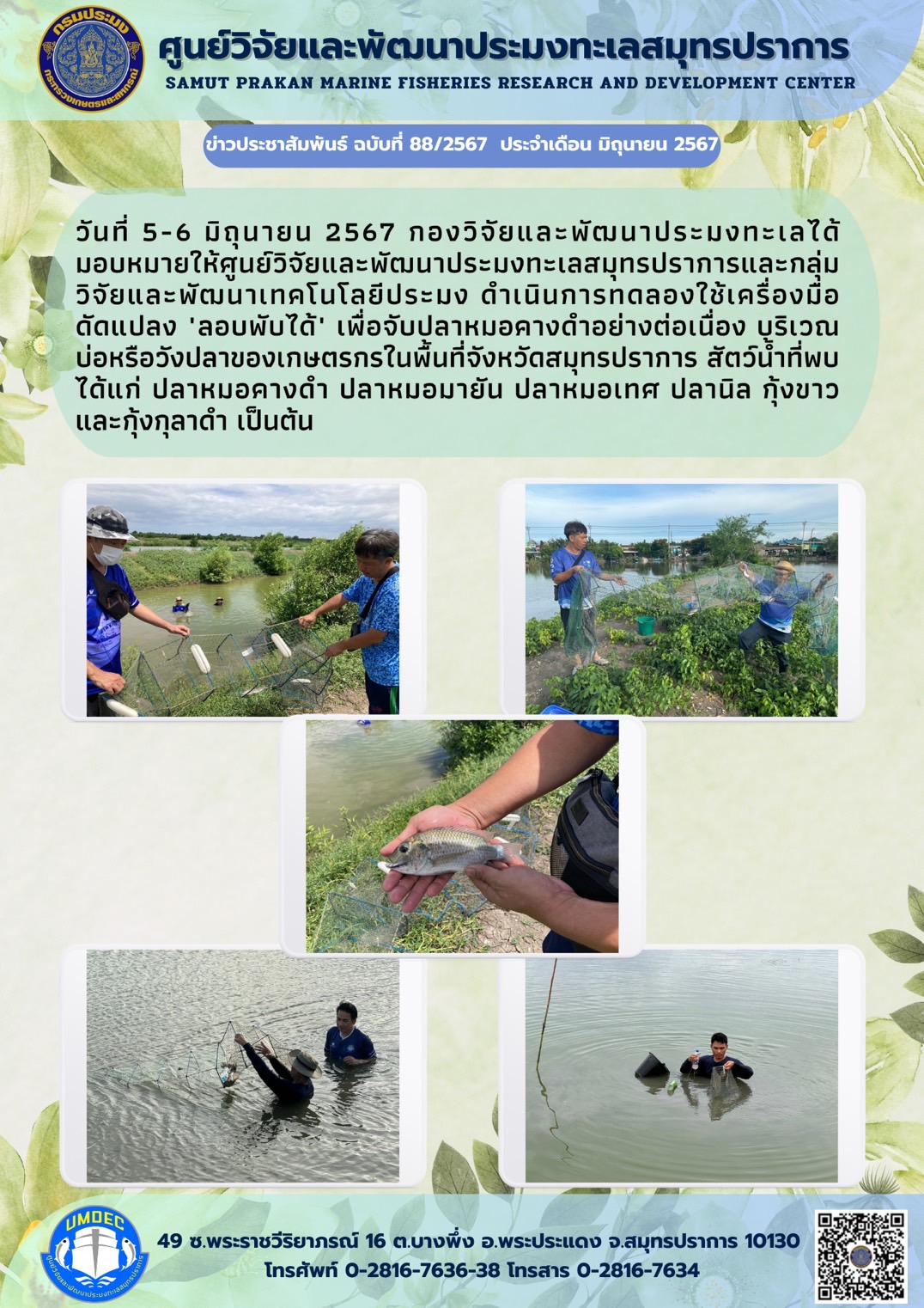 วันที่ 5-6 มิถุนายน 2567 กองวิจัยและพัฒนาประมงทะเลได้มอบหมายให้ศูนย์วิจัยและพัฒนาประมงทะเลสมุทรปราการและกลุ่มวิจัยและพัฒนาเทคโนโลยีประมง ดำเนินการทดลองใช้เครื่องมือดัดแปลง ‘ลอบพับได้’ เพื่อจับปลาหมอคางดำอย่างต่อเนื่อง บริเวณบ่อหรือวังปลาชองเกษตรกรในพื้นที่จังหวัดสมุทรปราการ ฯลฯ