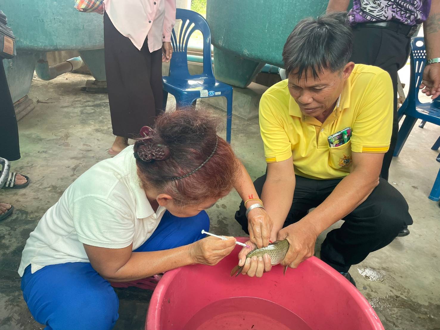 จัดฝึกอบรมแก่เกษตรกร โครงการส่งเสริมอาชีพประมง กิจกรรมพัฒนาศักยภาพเกษตรกรสู่ Smart Farmer และ Young Smart Farmer ประจำปีงบประมาณ 2567