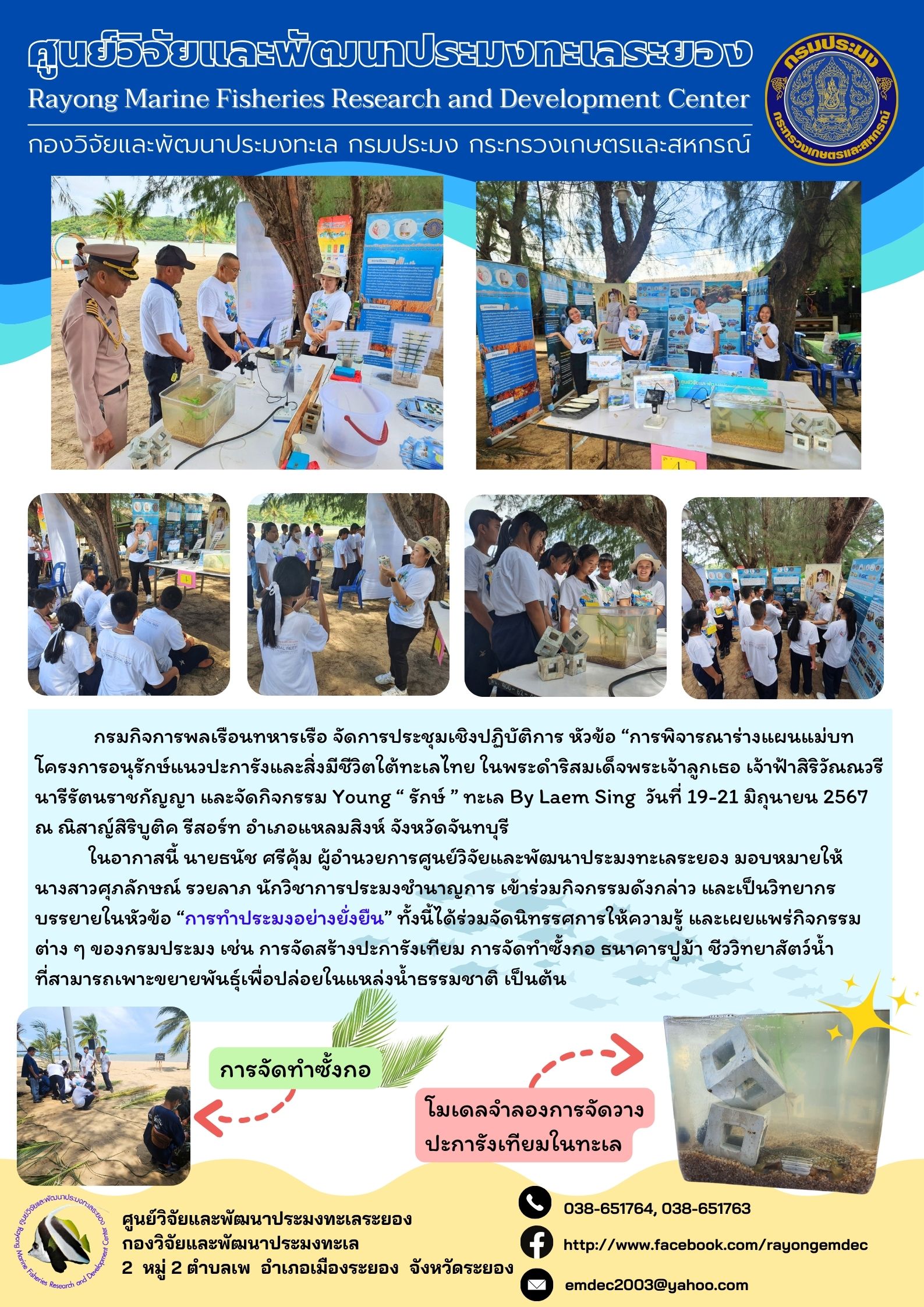 กิจกรรม young 