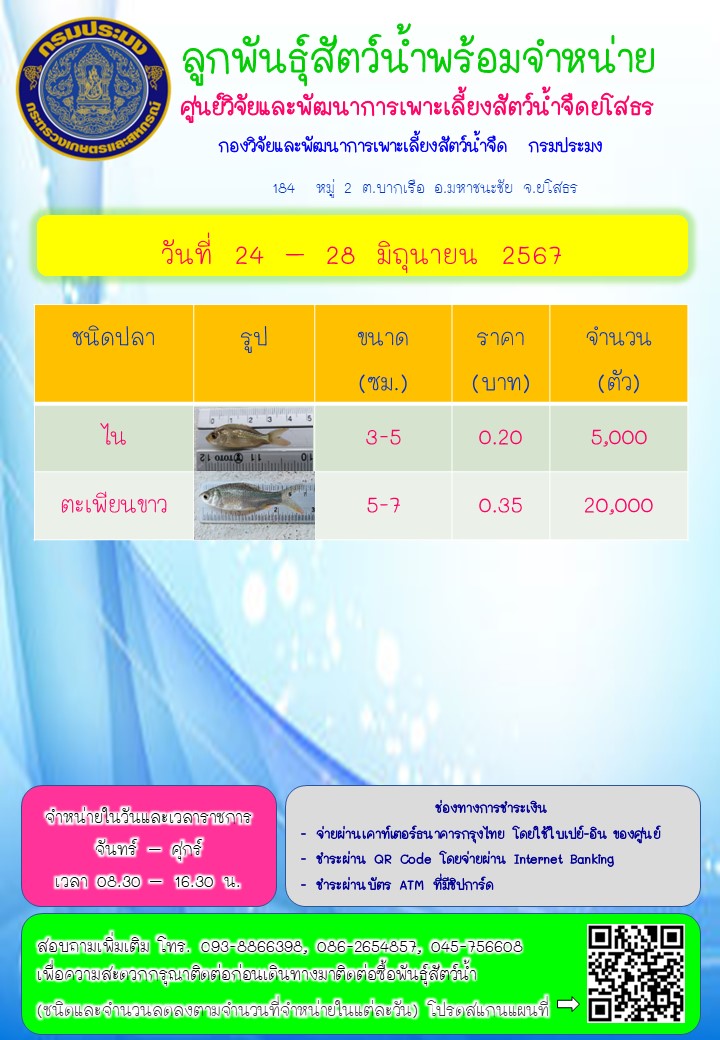 ลูกพันธุ์สัตว์น้ำพร้อมจำหน่าย 24 - 28 มิ.ย. 2567