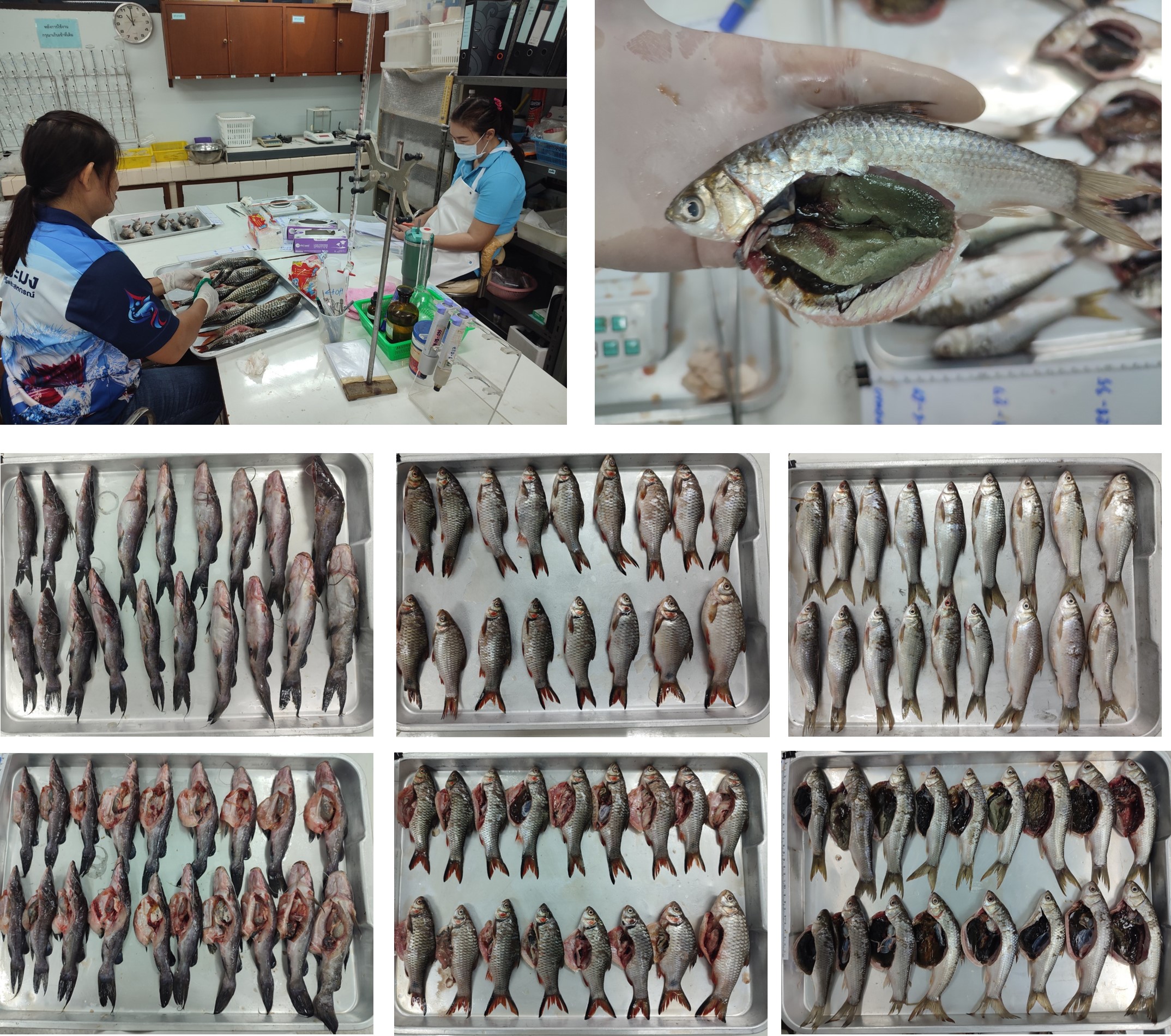 ปฏิบัติงานกิจกรรมจัดระเบียบการทำประมง ครั้งที่ 13