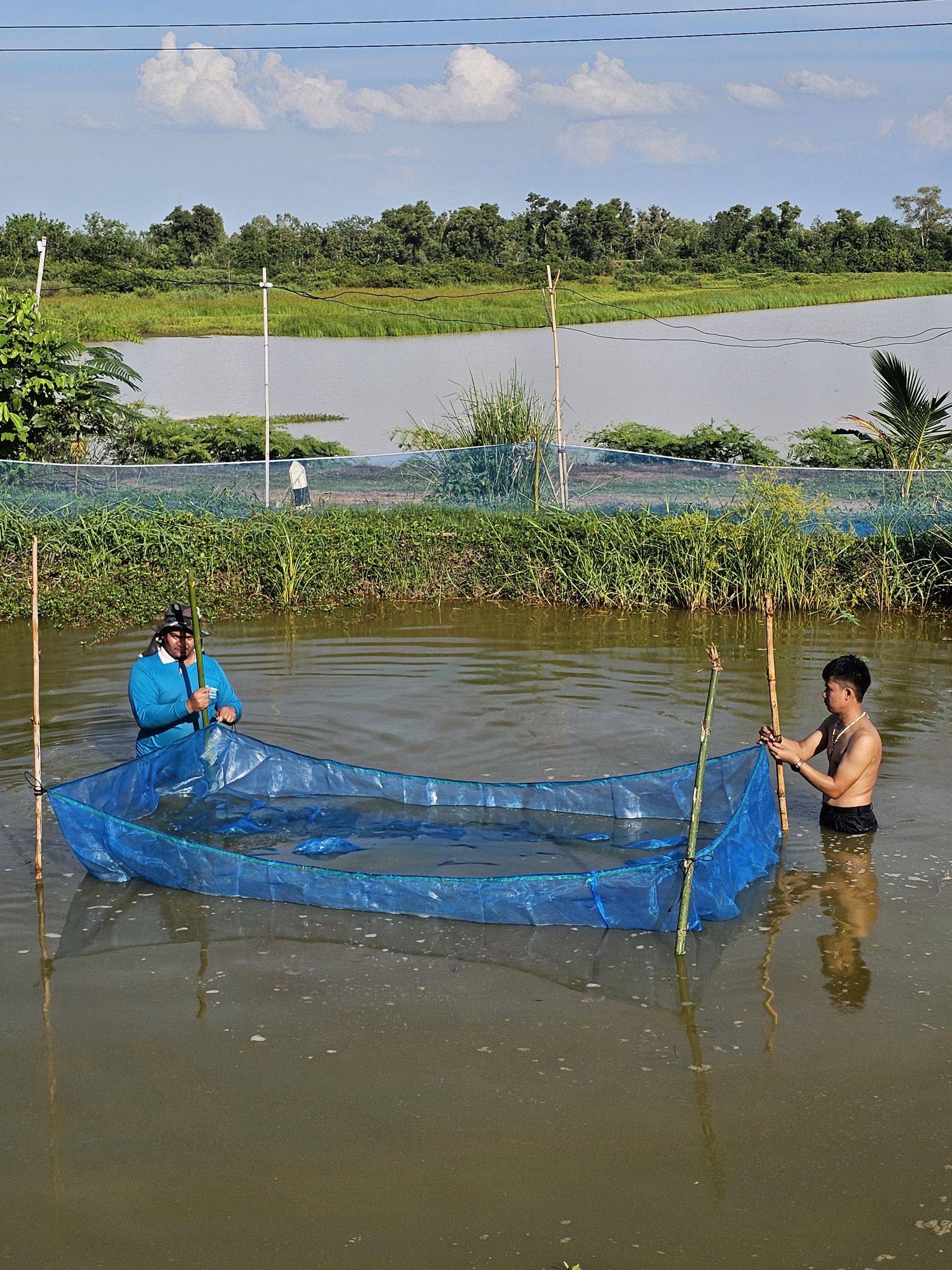 ลงพื้นที่พัฒนา ทำความสะอาด และสูบน้ำออกจากบ่อเพื่อที่จะเพาะลูกพันธุ์ปลาลงไปอนุบาล  ภายใต้โครงการพัฒนาพื้นที่บริเวณหนองอึ่ง..คลิก