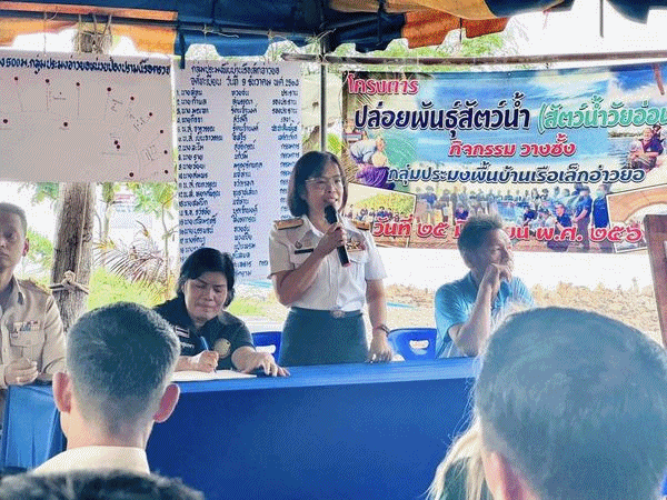 กิจกรรม “โครงการปล่อยพันธุ์สัตว์น้ำ (สัตว์น้ำวัยอ่อน) กิจกรรมวางซั้ง” บริเวณชายฝั่งทะเลอ่าวยอ เพื่อเป็นการเพิ่มผลผลิตสัตว์น้ำในแหล่งน้ำธรรมชาติ..คลิก