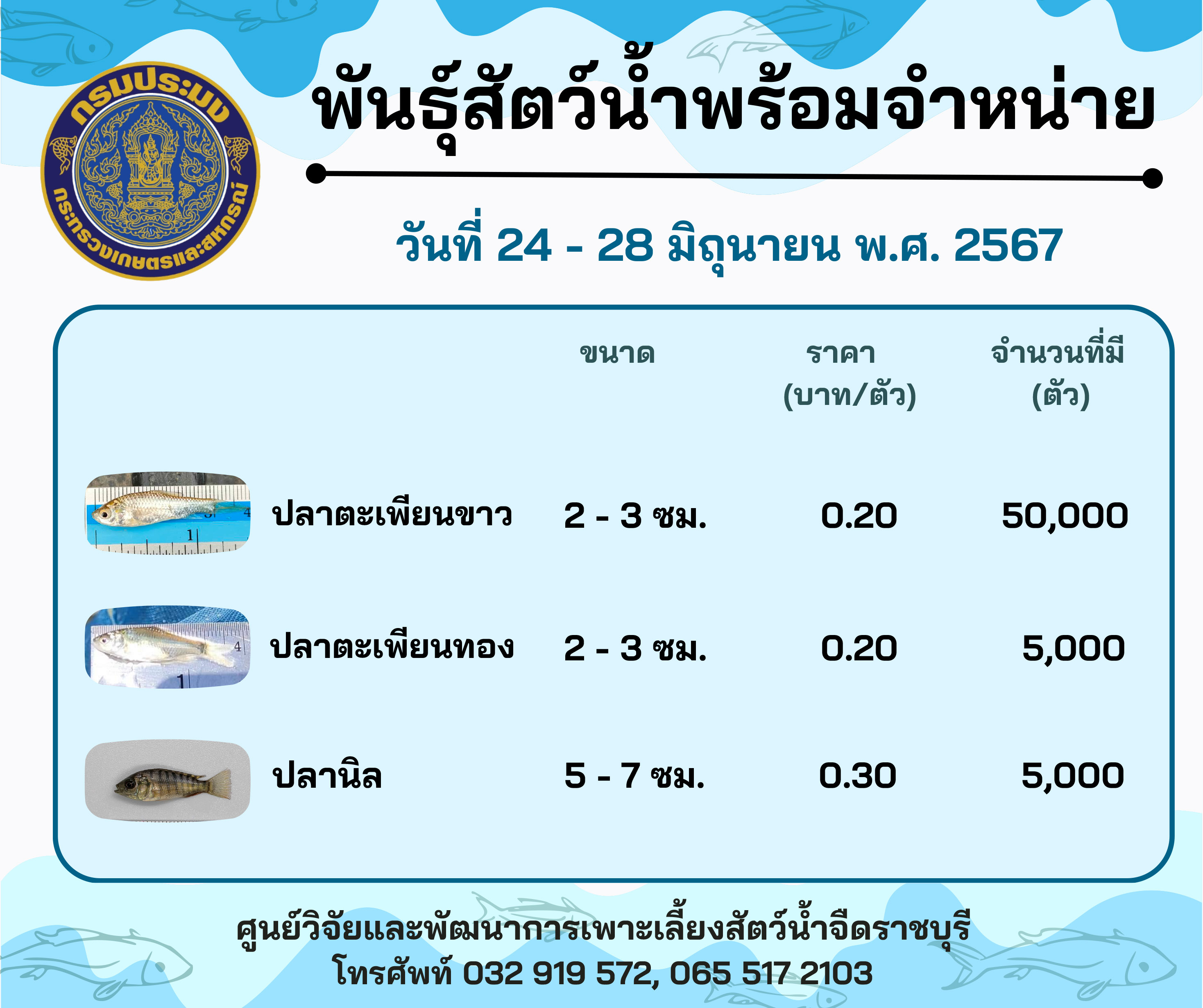 ลูกพันธุ์สัตว์น้ำพร้อมจำหน่ายสัปดาห์นี้ วันที่ 24 - 28 มิถุนายน พ.ศ. 2567..คลิก