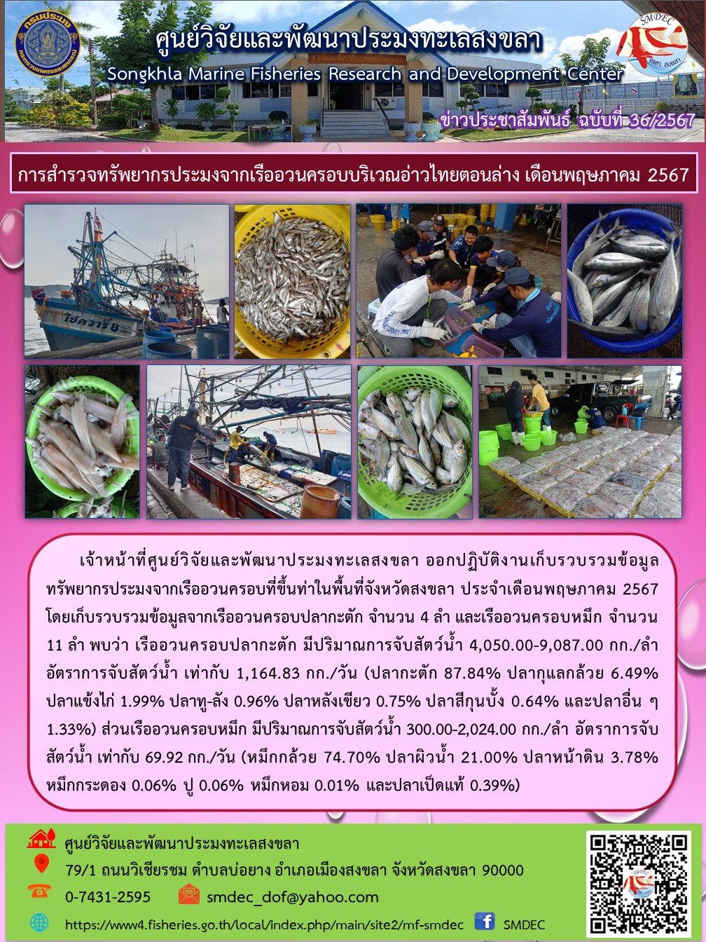 เจ้าหน้าที่ศูนย์วิจัยและพัฒนาประมงทะเลสงขลา ออกปฏิบัติงานเก็บรวบรวมข้อมูลทรัพยากรประมงจากเรืออวนครอบที่ขึ้นท่าในพื้นที่จังหวัดสงขลา ประจำเดือนพฤษภาคม 2567 โดยเก็บรวบรวมข้อมูลจากเรืออวนครอบปลากะตัก จำนวน 4 ลำ และเรืออวนครอบหมึก จำนวน 11 ลำ พบว่า เรืออวนครอบปลากะตัก มีปริมาณการจับสัตว์น้ำ 4,050.00-9,087.00 กก./ลำ อัตราการจับสัตว์น้ำ เท่ากับ 1,164.83 กก./วัน ฯลฯ