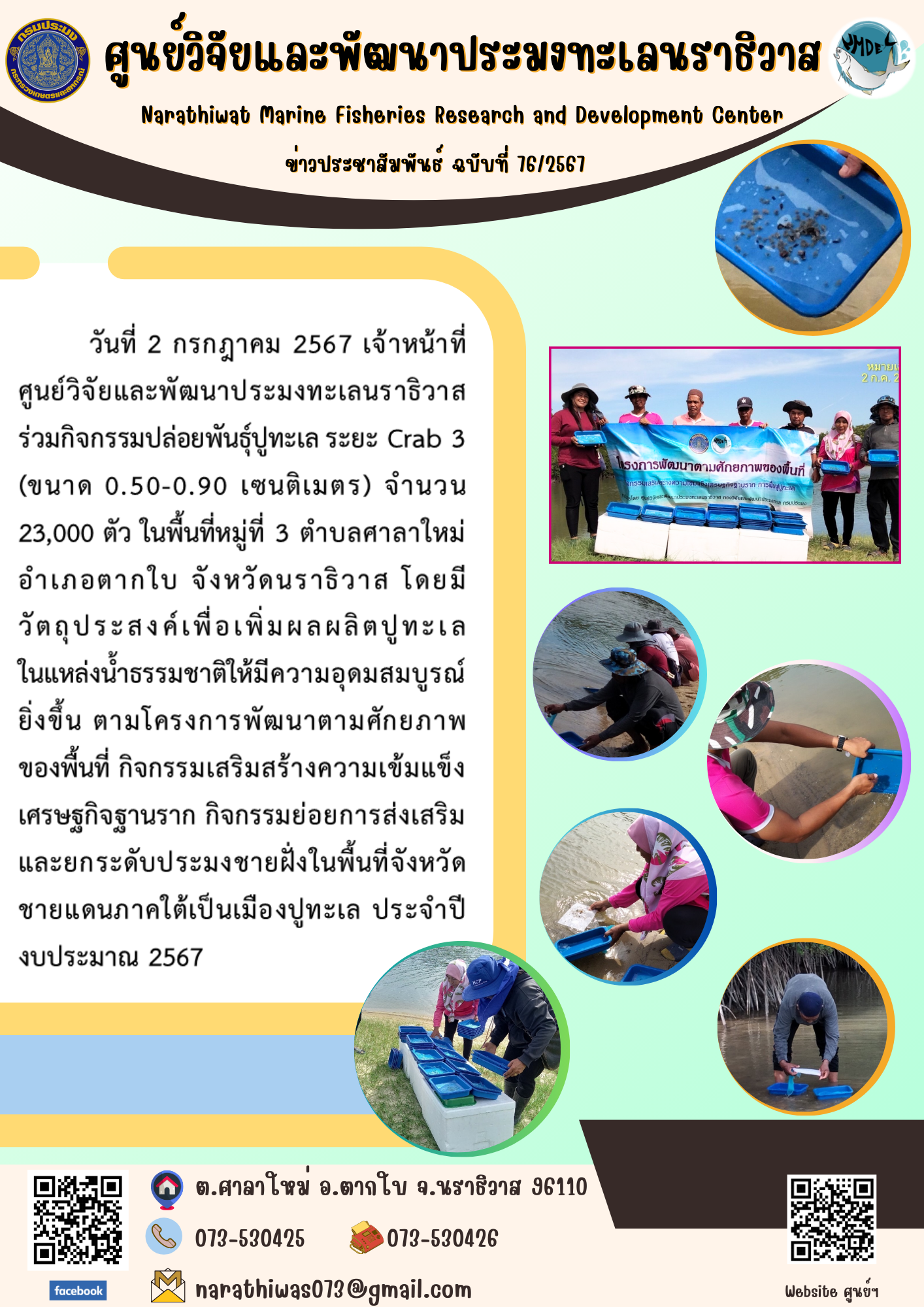 เจ้าหน้าที่ศูนย์วิจัยและพัฒนาประมงทะเลนราธิวาส ร่วมกิจกรรมปล่อยพันธุ์ปูทะเล ระยะ Crab 3 (ขนาด 0.50-0.90 เซนติเมตร) จำนวน 23,000 ตัว ในพื้นที่หมู่ที่ 3 ตำบลศาลาใหม่ อำเภอตากใบ จังหวัดนราธิวาส..คลิก