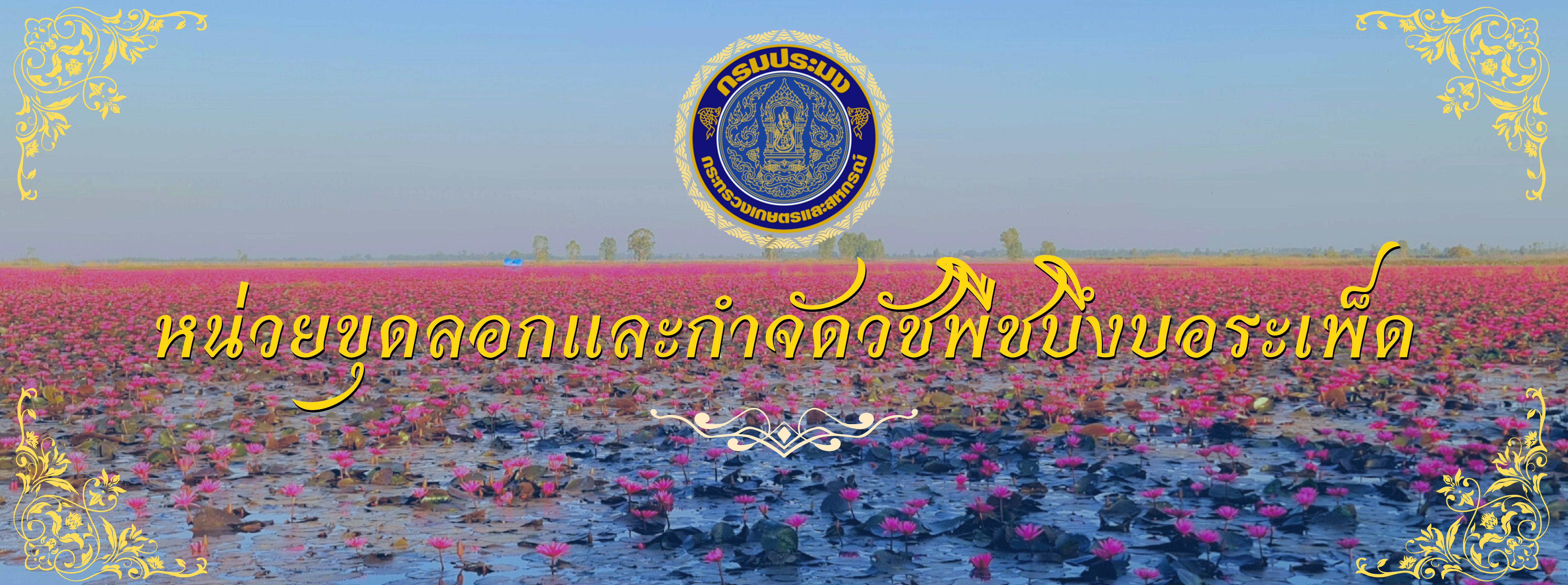 แบนเนอร
