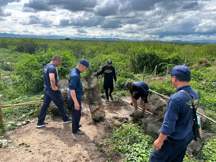 การออกปฏิบัติงานควบคุมการทำประมงในช่วงฤดูปลาน้ำจืดมีไข่ วางไข่ และเลี้ยงตัวอ่อน เขตพื้นที่จังหวัดอุตรดิตถ์..คลิก