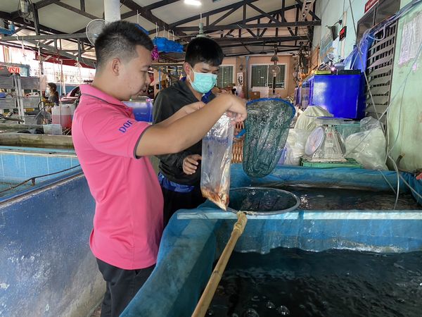 สำนักงานประมงพื้นที่กรุงเทพมหานคร ร่วมติดตามการตรวจรับรองมาตรฐานการเพาะเลี้ยงสัตว์น้ำ และให้บริการแก่เกษตรกร