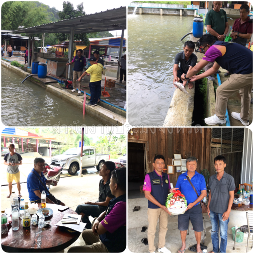 ผลการปฏิบัติงานประจำวันพฤหัสบดี ที่ 4 กรกฎาคม 2567