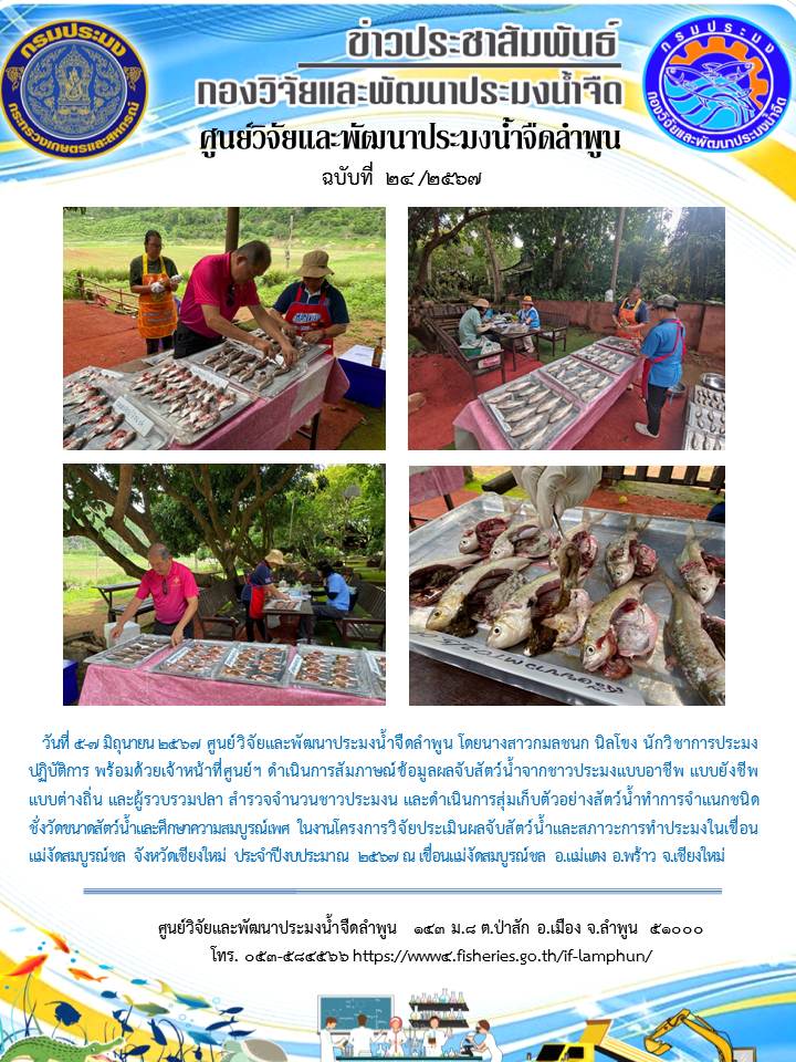 ศูนย์วิจัยและพัฒนาประมงน้ำจืดลำพูน โดยนางสาวกมลชนก นิลโขง นักวิชาการประมงปฏิบัติการ พร้อมด้วยเจ้าหน้าที่ศูนย์ฯ ดำเนินการสัมภาษณ์ข้อมูลผลจับสัตว์น้ำจากชาวประมงแบบอาชีพ แบบยังชีพ แบบต่างถิ่น และผู้รวบรวมปลา สำรวจจำนวนชาวประมงน และดำเนินการสุ่มเก็บตัวอย่างสัตว์น้ำทำการจำแนกชนิด ชั่งวัดขนาดสัตว์น้ำและศึกษาความสมบูรณ์เพศ ในงานโครงการวิจัยประเมินผลจับสัตว์น้ำและสภาวะการทำประมงในเขื่อนแม่งัดสมบูรณ์ชล จังหวัดเชียงใหม่ ประจำปีงบประมาณ 2567 ณ เขื่อนแม่งัดสมบูรณ์ชล อ.แม่แตง อ.พร้าว จ.เชียงใหม่..คลิก