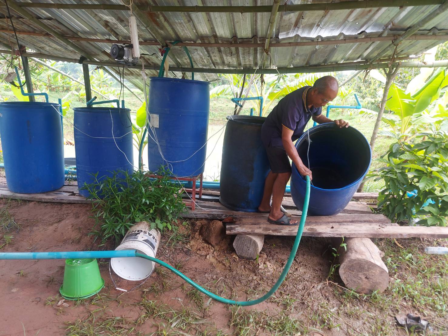 ประมงอำเภอเมืองหนองบัวลำภู ติดตามกิจกรรมกลุ่มเพาะพันธุ์ปลาตะเพียนด้วยชุดเพาะพันธุ์ปลาเคลื่อนที่ (Mobile Hatchery)..คลิก