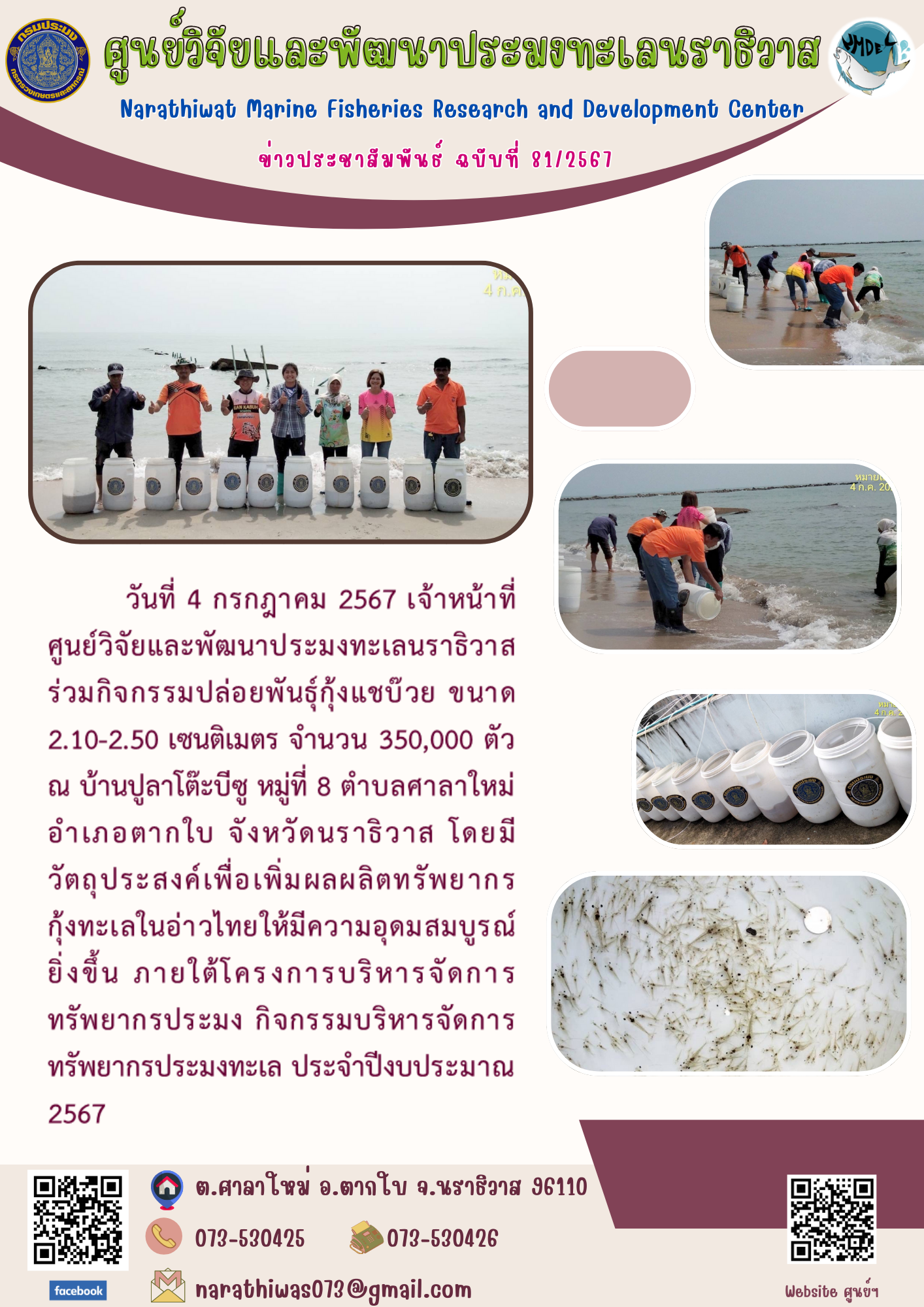 เจ้าหน้าที่ศูนย์วิจัยและพัฒนาประมงทะเลนราธิวาส ร่วมกิจกรรมปล่อยพันธุ์กุ้งแชบ๊วย ขนาด 2.10 - 2.50 เซนติเมตร จำนวน 350,000 ตัว ณ บ้านปูลาโต๊ะบีซู..คลิก