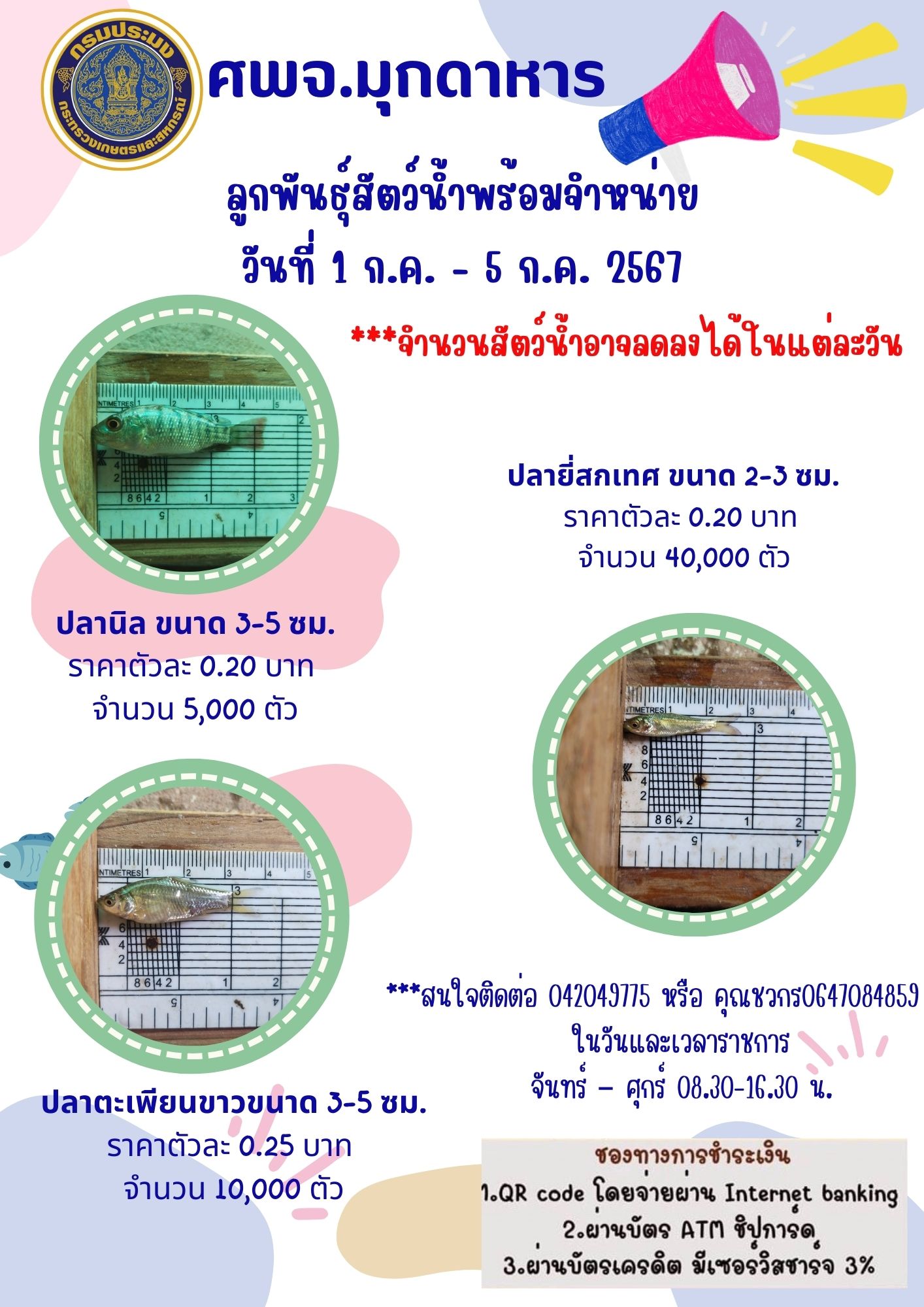 ลูกพันธุ์สัตว์น้ำพร้อมจำหน่าย 1-5 กรกฎาคม 2567..คลิก