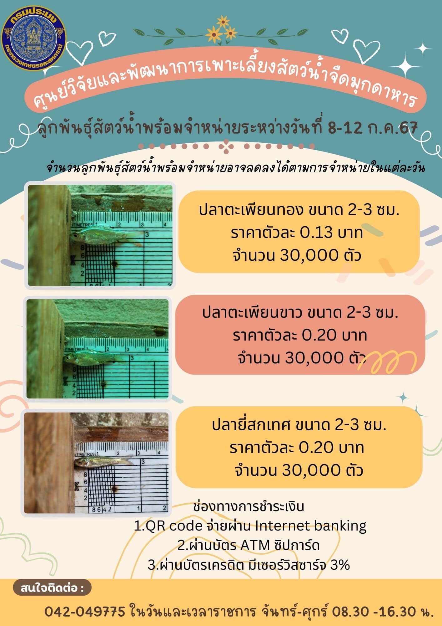 ลูกพันธุ์สัตว์น้ำพร้อมจำหน่าย 8-12 กรกฎาคม 2567..คลิก