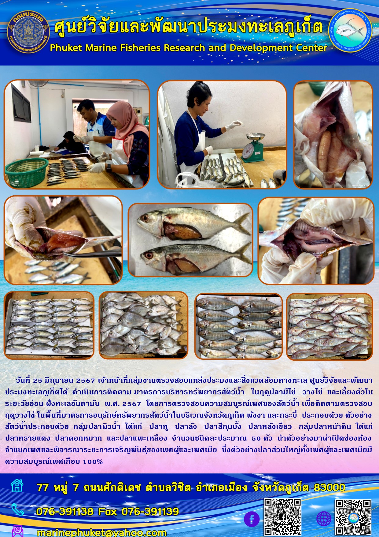 วันที่ 25 มิถุนายน 2567 เจ้าหน้าที่กลุ่มงานตรวจสอบแหล่งประมงและสิ่งแวดล้อมทางทะเล ศูนย์วิจัยและพัฒนาประมงทะเลภูเก็ตได้ดำเนินการติดตามมาตรการบริหารทรัพยากรสัตว์น้ำ ในฤดูปลามีไข่ วางไข่ และเลี้ยงตัวในระยะวัยอ่อน ฝั่งทะเลอันดามัน พ.ศ. 2567..คลิก