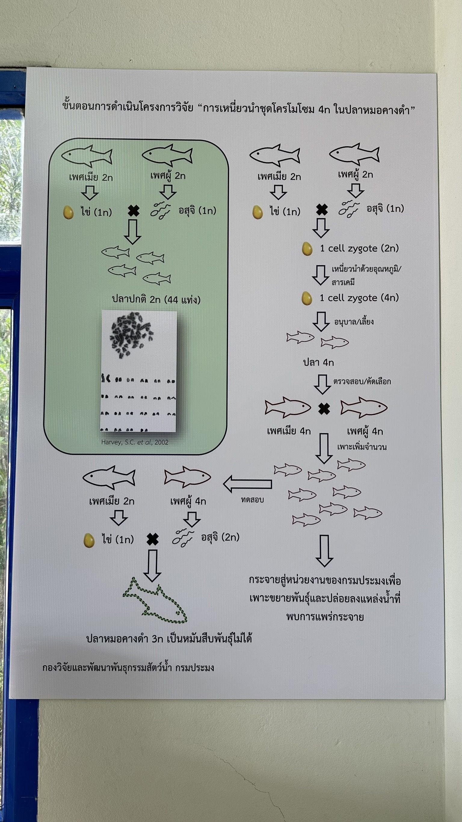 รูป ประกอบบทความ7