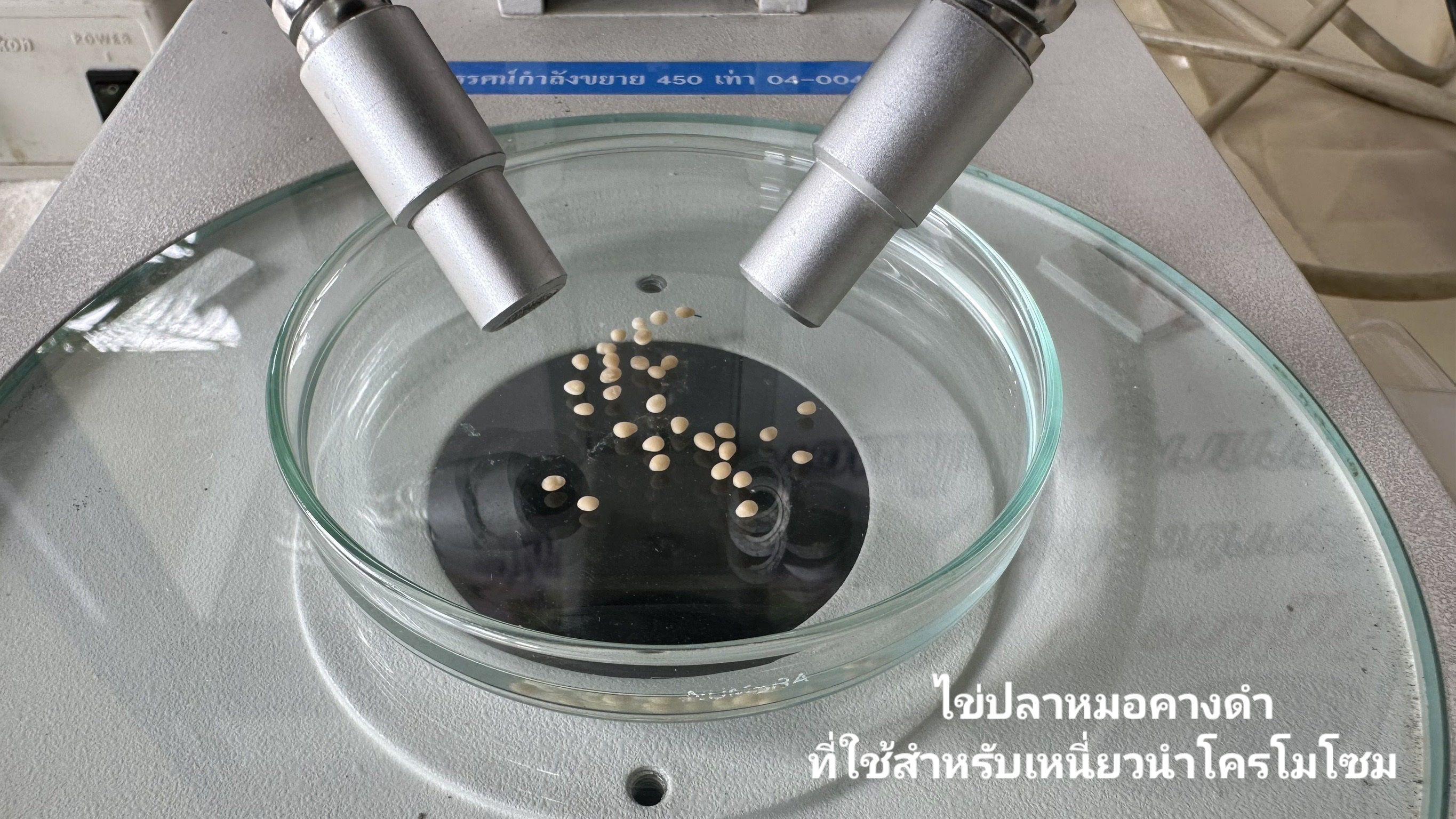 รูป ประกอบบทความ11