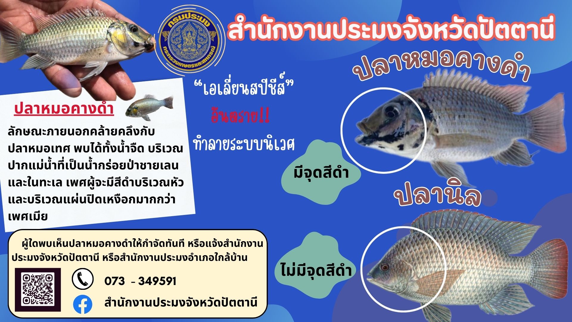 ขอเชิญชวนแจ้งตำแหน่งการพบปลาหมอคางดำ..คลิก