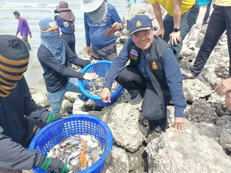 นายบัญชา สุขแก้ว อธิบดีกรมประมง ลงพื้นที่เพชรบุรีตรวจเยี่ยมการดำเนินงานวิจัยการแก้ไขปัญหาแพร่ระบาดของปลาหมอคางดำของกรมประมง การเพาะเลี้ยงสัตว์น้ำเศรษฐกิจ และการกำจัดปลาหมอคางดำในพื้นที่จังหวัดเพชรบุรี