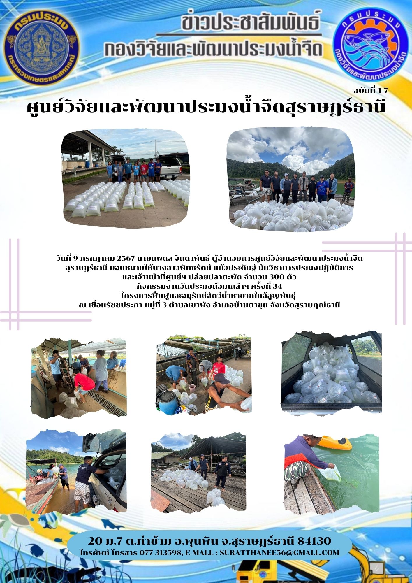 วันที่ 9 กรกฎาคม 2567 นายนพดล จินดาพันธ์ ผู้อำนวยการศูนย์วิจัยและพัฒนาประมงน้ำจืดสุราษฎร์ธานี มอบหมายให้นางสาวพิทชรัตน์ แก้วประดิษฐ์ นักวิชาการประมงปฎิบัติการ และเจ้าหน้าที่ศูนย์ฯ ปล่อยปลาตะพัด จำนวน 300 ตัว..คลิก