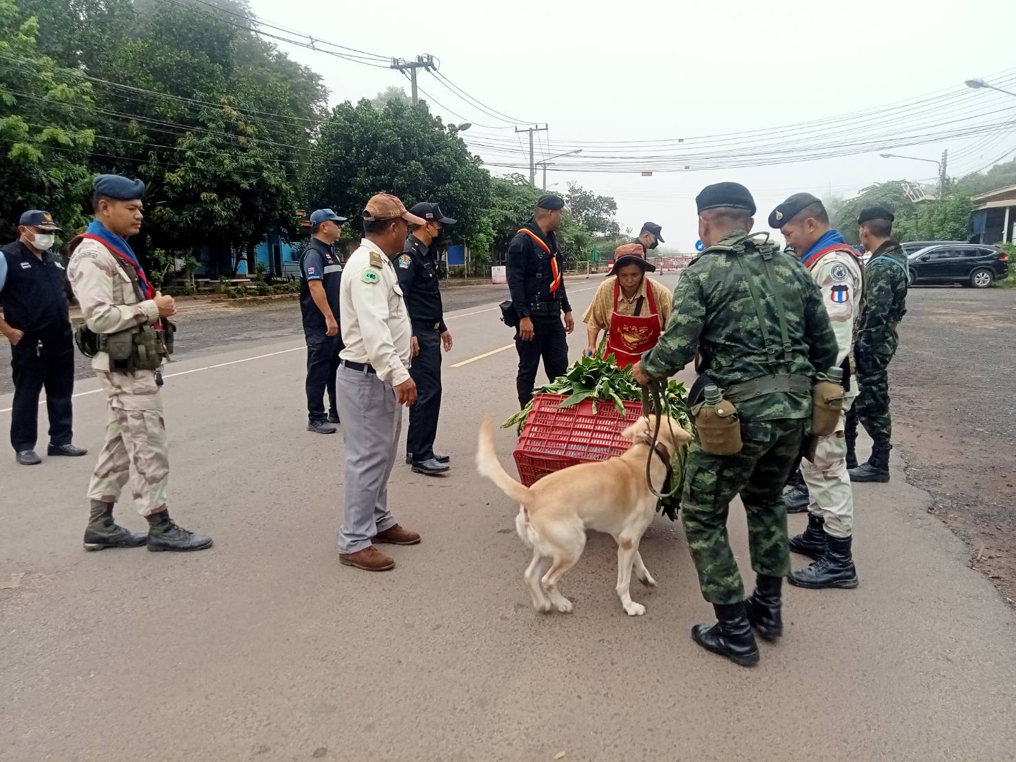 ผลการปฏิบัติงานด่านตรวจประมงสุรินทร์