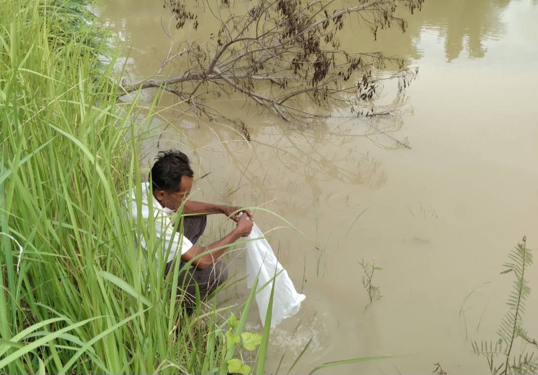 ประมงอุบลฯ ดำเนินงานตามแผนงานโครงการพัฒนาอาชีพการเพาะเลี้ยงปลาตะเพียนขาวในบ่อดิน งบกลุ่มจังหวัดภาคตะวันออกเฉียงเหนือตอนล่าง 2 ประจำปีงบประมาณ 2567..คลิก