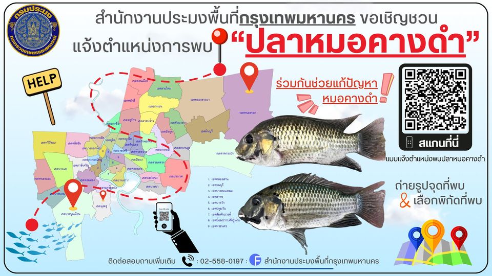 คางดำตัวร้าย ต้องกำจัด