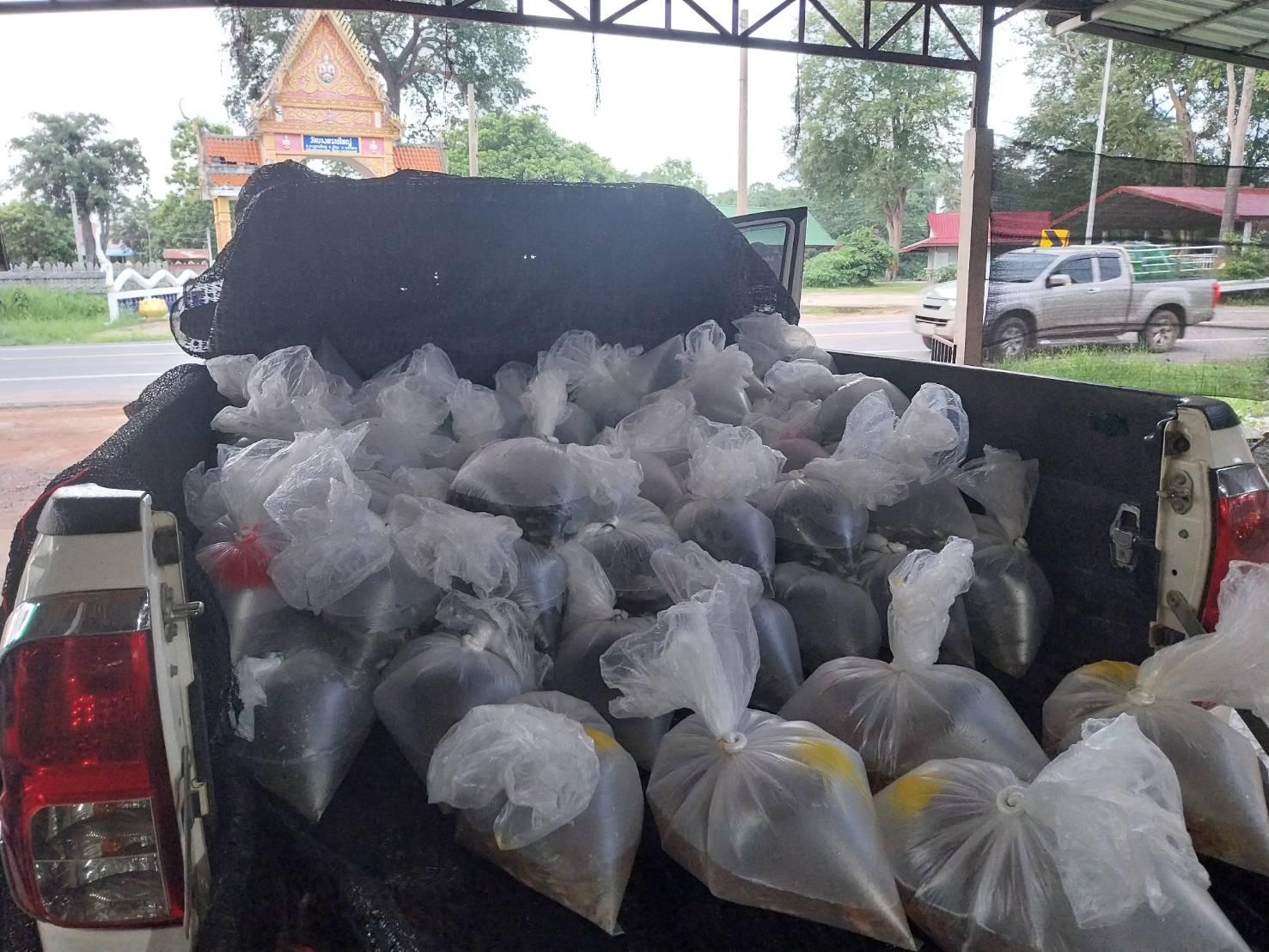 11 กรกฎาคม 2567 ด่านตรวจประมงมุกดาหาร ตรวจสอบสินค้าประมงส่งออกไปยัง สปป. ลาว ณ สะพานมิตรภาพไทย - ลาว แห่งที่ 2 จังหวัดมุกดาหาร..คลิก
