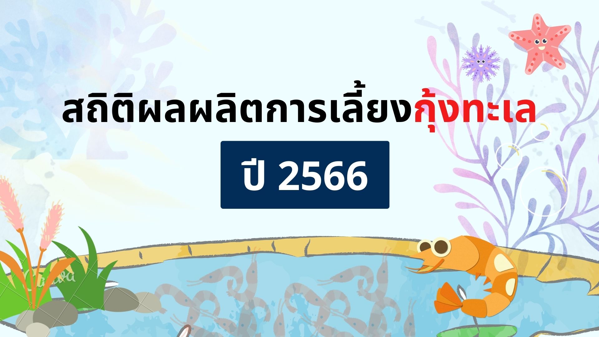 สถิติผลผลิตการเลี้ยงกุ้งทะเล ปี 2566