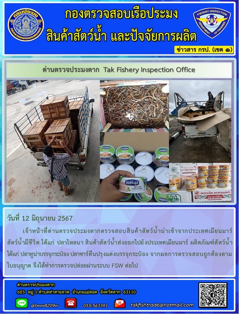 วันที่ 12 มิถุนายน 2567           เจ้าหน้าที่ด่านตรวจประมงตากตรวจสอบสินค้าสัตว์น้ำนำเข้าจากประเทศเมียนมาร์ สัตว์น้ำมีชีวิต ได้แก่ ปลาไหลนา สินค้าสัตว์น้ำส่งออกไปยังประเทศเมียนมาร์ ผลิตภัณฑ์สัตว์น้ำ ได้แก่ ปลาทูน่าบรรจุกระป๋อง ปลาซาร์ดีนปรุงแต่งบรรจุกระป๋อง จากผลการตรวจสอบถูกต้องตามใบอนุญาต จึงได้ทำการตรวจปล่อยผ่านระบบ FSW ต่อไป..คลิก
