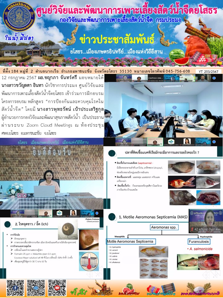 ข่าวประชาสัมพันธ์เดือนกรกฎาคม ฉบับที่ 203/2567..คลิก