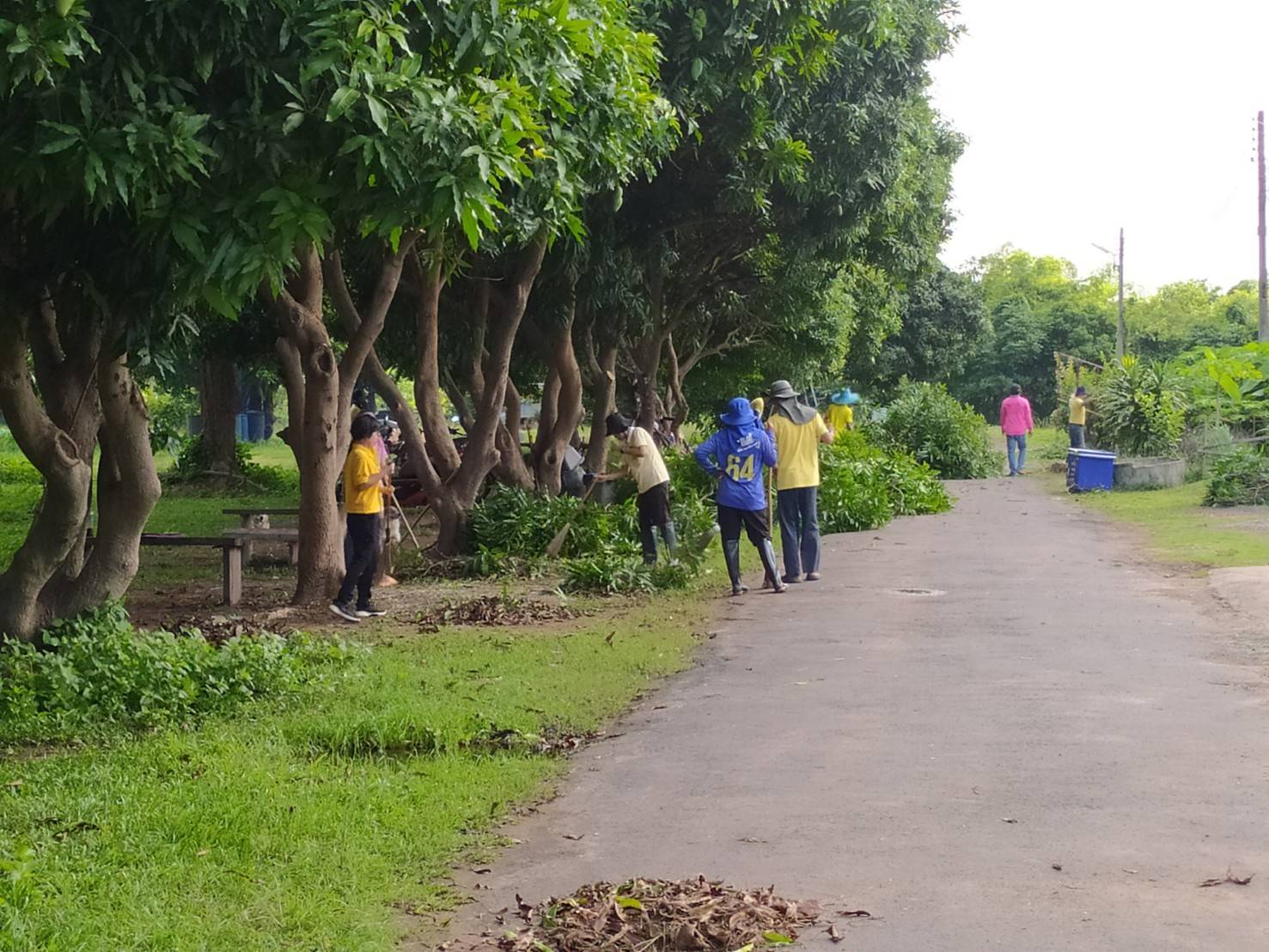 ดำเนินกิจกรรมBig Cleaning Day..คลิก