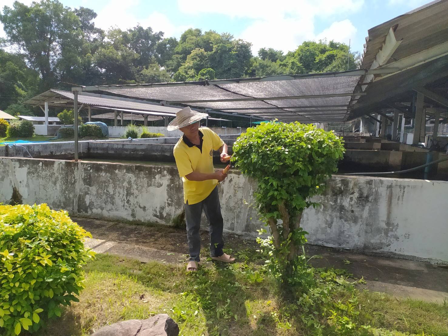 ดำเนินกิจกรรมBig Cleaning Day