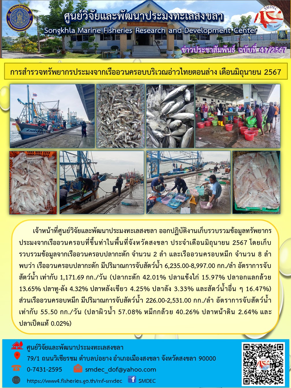 เจ้าหน้าที่ ศพท.สงขลา ออกปฏิบัติงานเก็บรวบรวมข้อมูลทรัพยากรประมงจากเรืออวนครอบที่ขึ้นท่าในพื้นที่จังหวัดสงขลา ประจำเดือนมิถุนายน 2567..คลิก