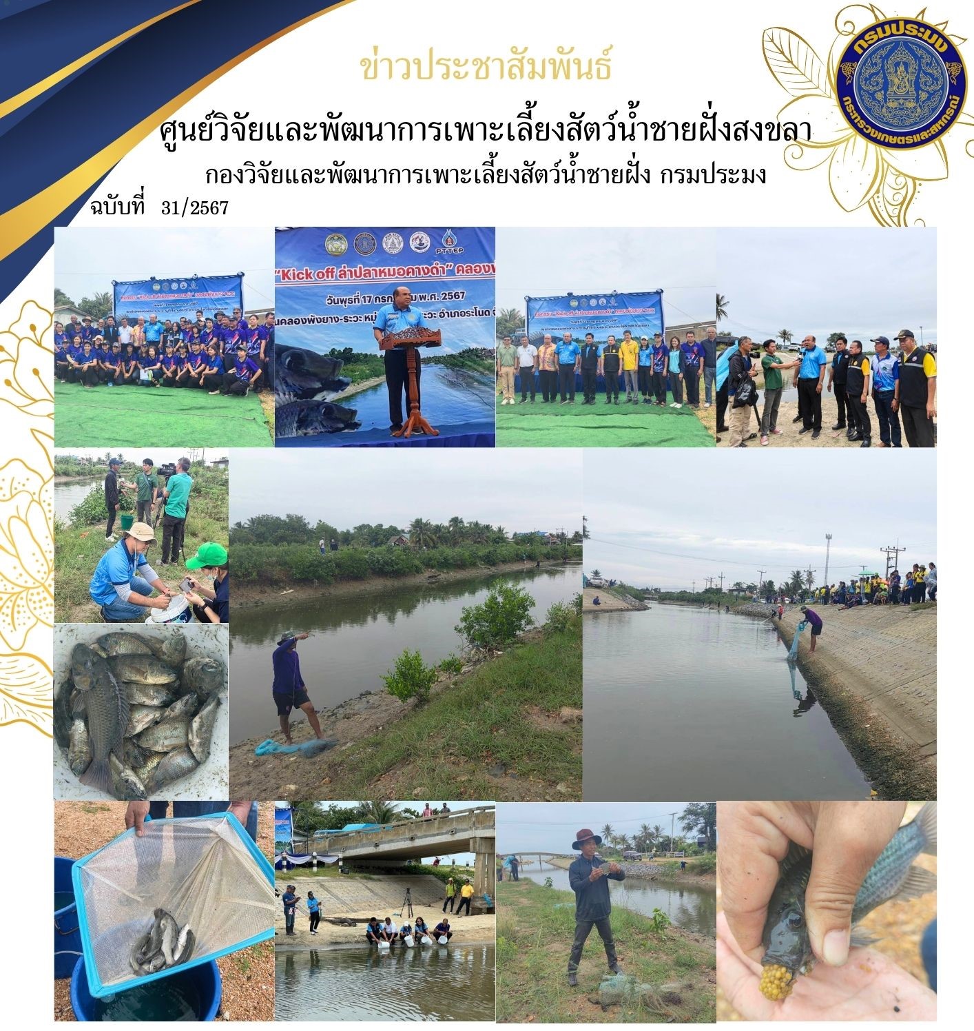 วันพุธ ที่ 17 กรกฎาคม 2567 นางสาวปริศนา คลิ้งสุขคล้าย ผู้อำนวยการศูนย์วิจัยและพัฒนาการเพาะเลี้ยงสัตว์น้ำชายฝั่งสงขลา พร้อมด้วยเจ้าหน้าที่ของศูนย์ฯ เข้าร่วมกิจกรรม“Kick off ล่าปลาหมอคางดำ” ณ คลองพังยาง-ระวะโดยมีนายวรพันธุ์ สุวรรณยุหะ นายอำเภอระโนด เข้าร่วมกิจกรรมและกล่าวต้อนรับ นายอภิชาติ สาราบรรณ์ รองผู้ว่าราชการจังหวัดสงขลา ประธานกิจกรรม..คลิก
