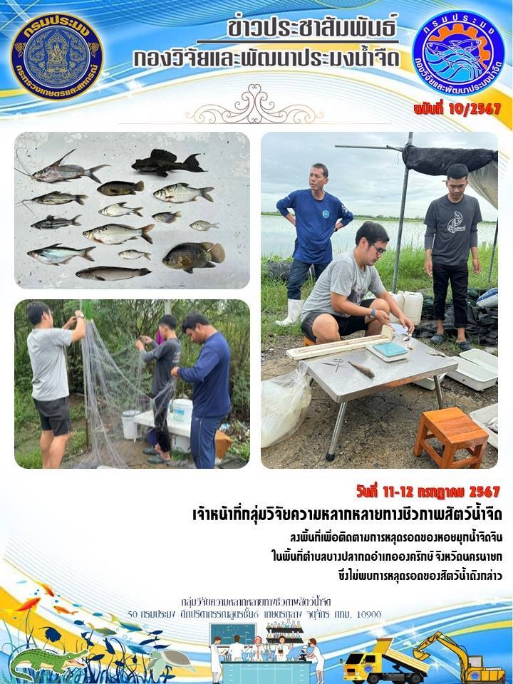 วันที่ 11 - 12 กรกฎาคม 2567 เจ้าหน้าที่กลุ่มวิจัยความหลากหลายทางชีวภาพสัตว์น้ำจืด ลงพื้นที่เพื่อติดตามการหลุดรอดของหอยมุกน้ำจืดจีนในพื้นที่ตำบลบางปลากด อำเภอองครักษ์ จังหวัดนครนายก 
