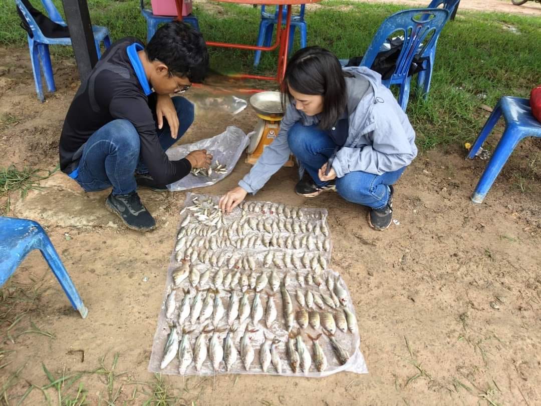 ข่าวประชาสัมพันธ์ประจำวันที่ 16 กรกฎาคม 2567 ศูนย์วิจัยและพัฒนาการเพาะเลี้ยงสัตว์น้ำจืดศรีสะเกษ ฉบับที่ 153