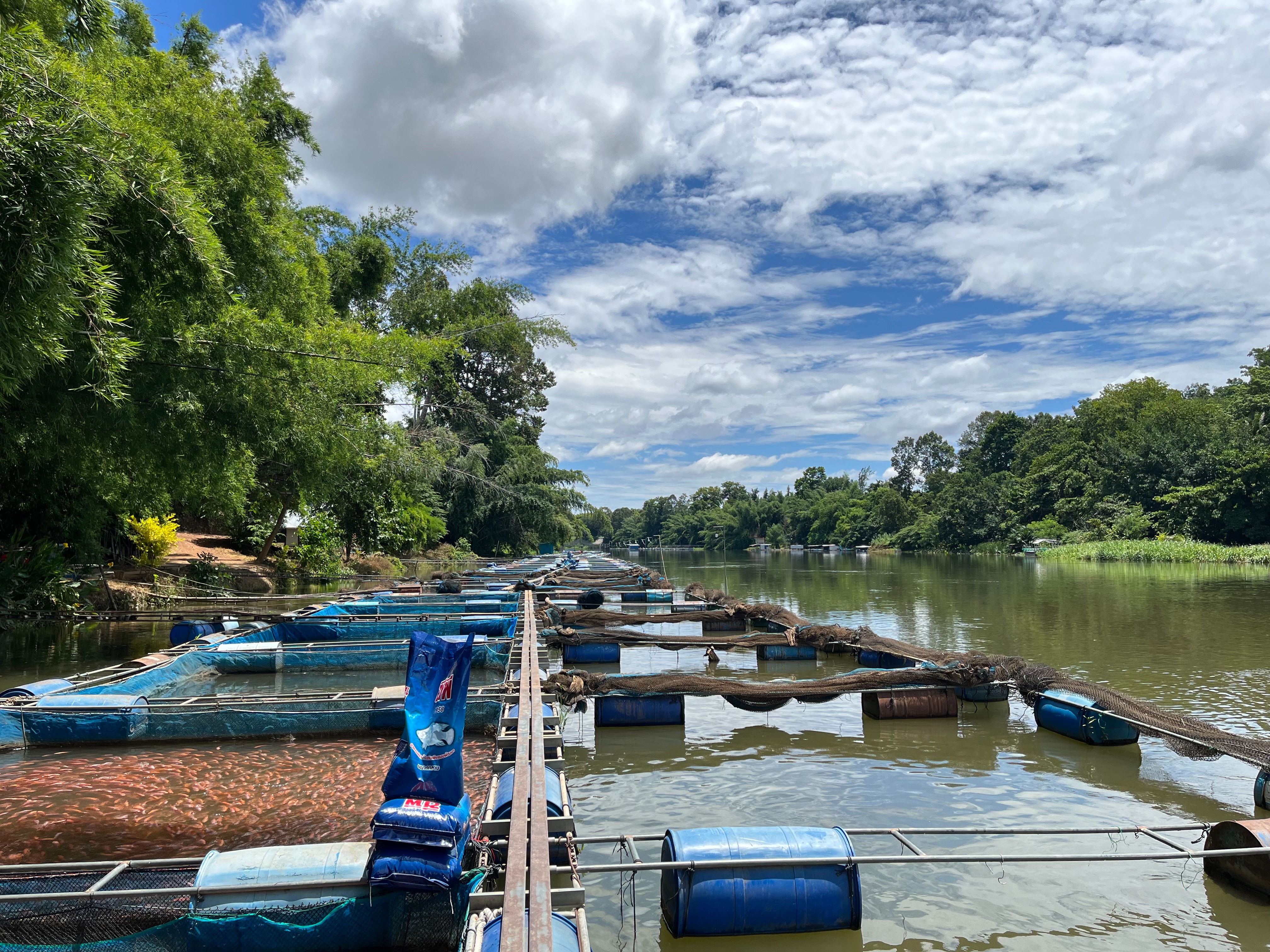 ลงพื้นที่ติดตามเฝ้าระวังสถานการณ์คุณภาพน้ำในแหล่งน้ำที่ใช้ในการเพาะเลี้ยงสัตว์น้ำ..คลิก
