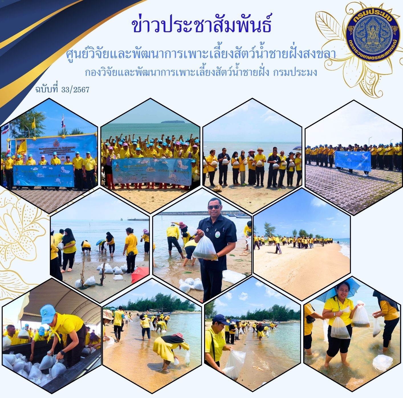 วันที่ 18 กรกฎาคม 2567 นางสาวปริศนา คลิ้งสุขคล้าย ผู้อำนวยการศูนย์วิจัยและพัฒนาการเพาะเลี้ยงสัตว์น้ำชายฝั่งสงขลา มอบหมายให้นายอุกฤษฏ์ ชูสุวรรณ นักวิชาการประมงปฏิบัติการ ส่งมอบพันธุ์ปูม้า ให้แก่สำนักงานประมงจังหวัดสงขลา เพื่อปล่อยเฉลิมพระเกียรติ พระบาทสมเด็จพระเจ้าอยู่หัว เนื่องในโอกาสพระราชพิธีมหามงคลเฉลิมพระชนมพรรษา 6 รอบ 28 กรกฎาคม 2567..คลิก