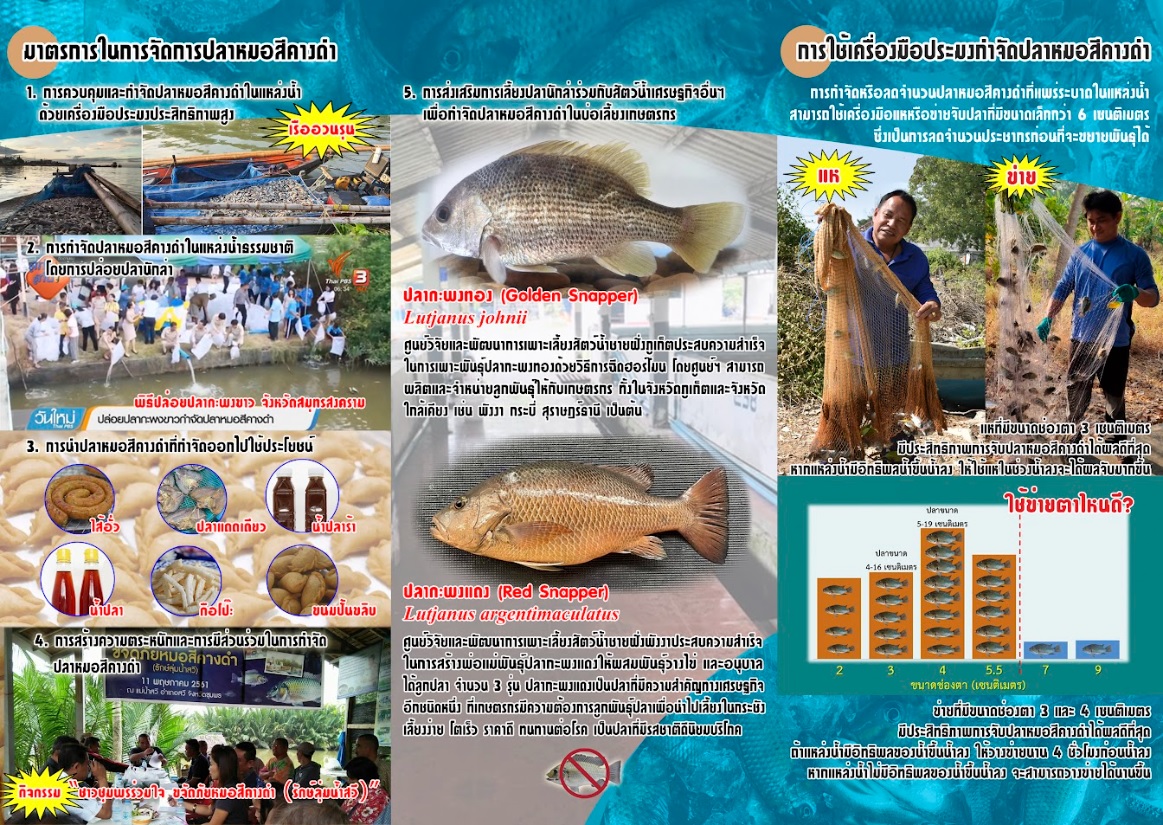สัตว์น้ำต่างถิ่น และปลาหมอสีคางดำ..คลิก