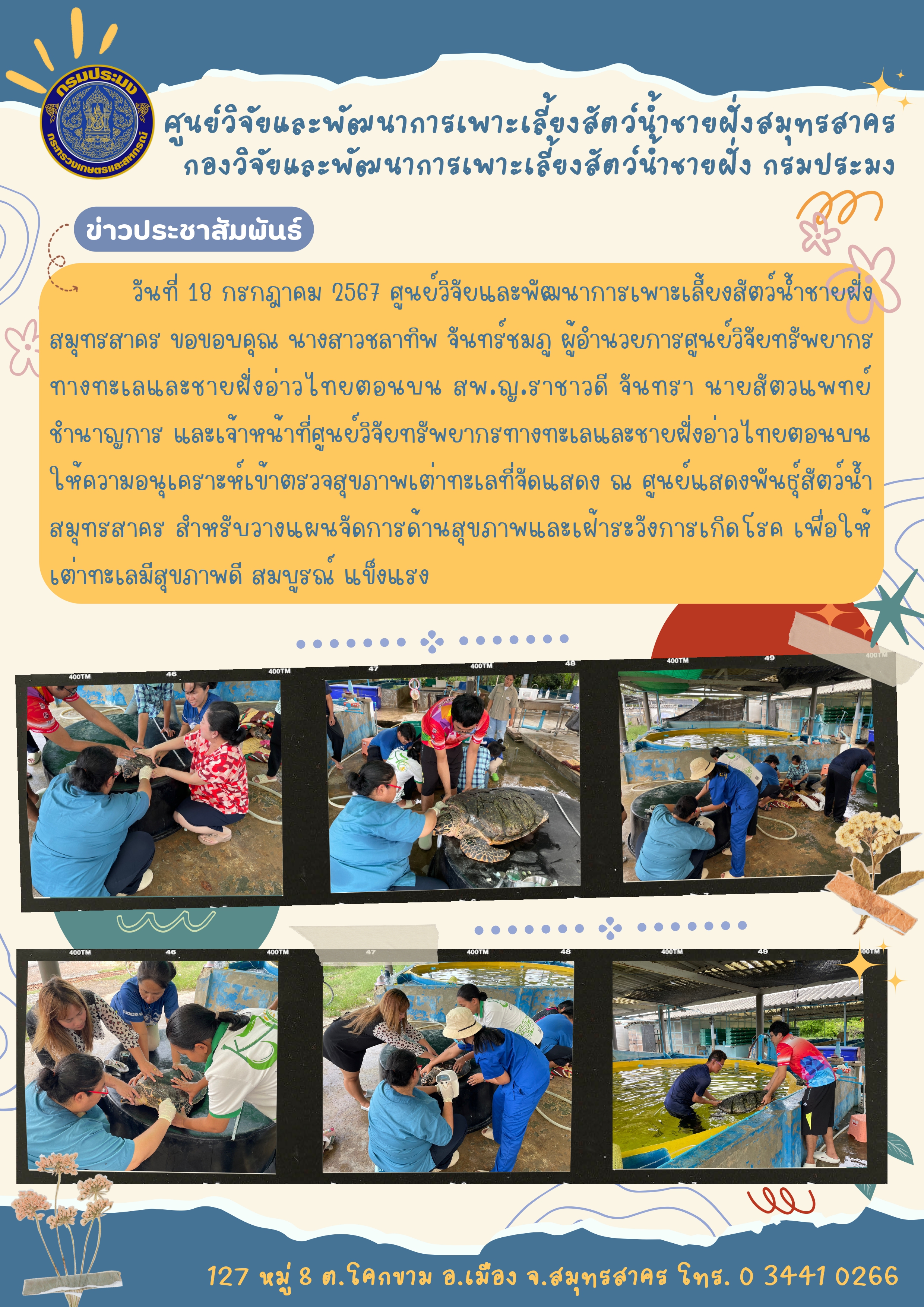 เต่าทะเล..คลิก