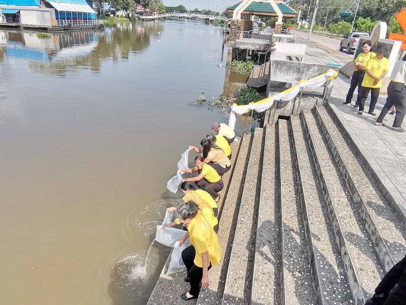 สนับสนุนพันธุ์ปลากินพืช เพื่อปล่อยลงสู่ทะเลสาบสงขลา อ.เมือง จ.พัทลุง..คลิก