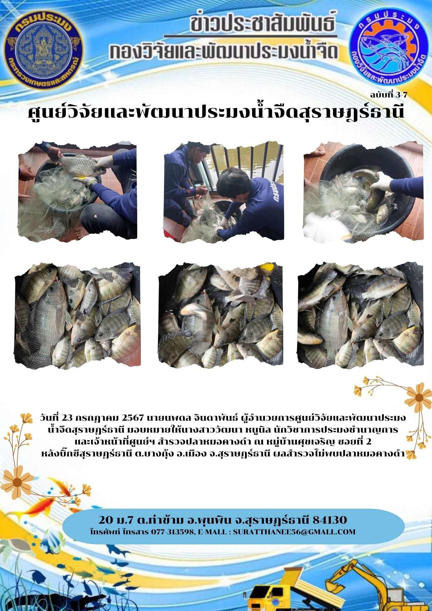 วันที่ 23 กรกฎาคม 2567 นายนพดล จินดาพันธ์ ผู้อำนวยการศูนย์วิจัยและพัฒนาประมงน้ำจืดสุราษฎร์ธานี มอบหมายให้นางสาววัฒนา หนูนิล นักวิชาการประมงชำนาญการ   และเจ้าหน้าที่ศูนย์ฯ สำรวจปลาหมอคางดำ ณ หมู่บ้านศุขเจริญ ซอยที่ 2 หลังบิ๊กซีสุราษฎร์ธานี ต.บางกุ้ง อ.เมือง จ.สุราษฎร์ธานี..คลิก