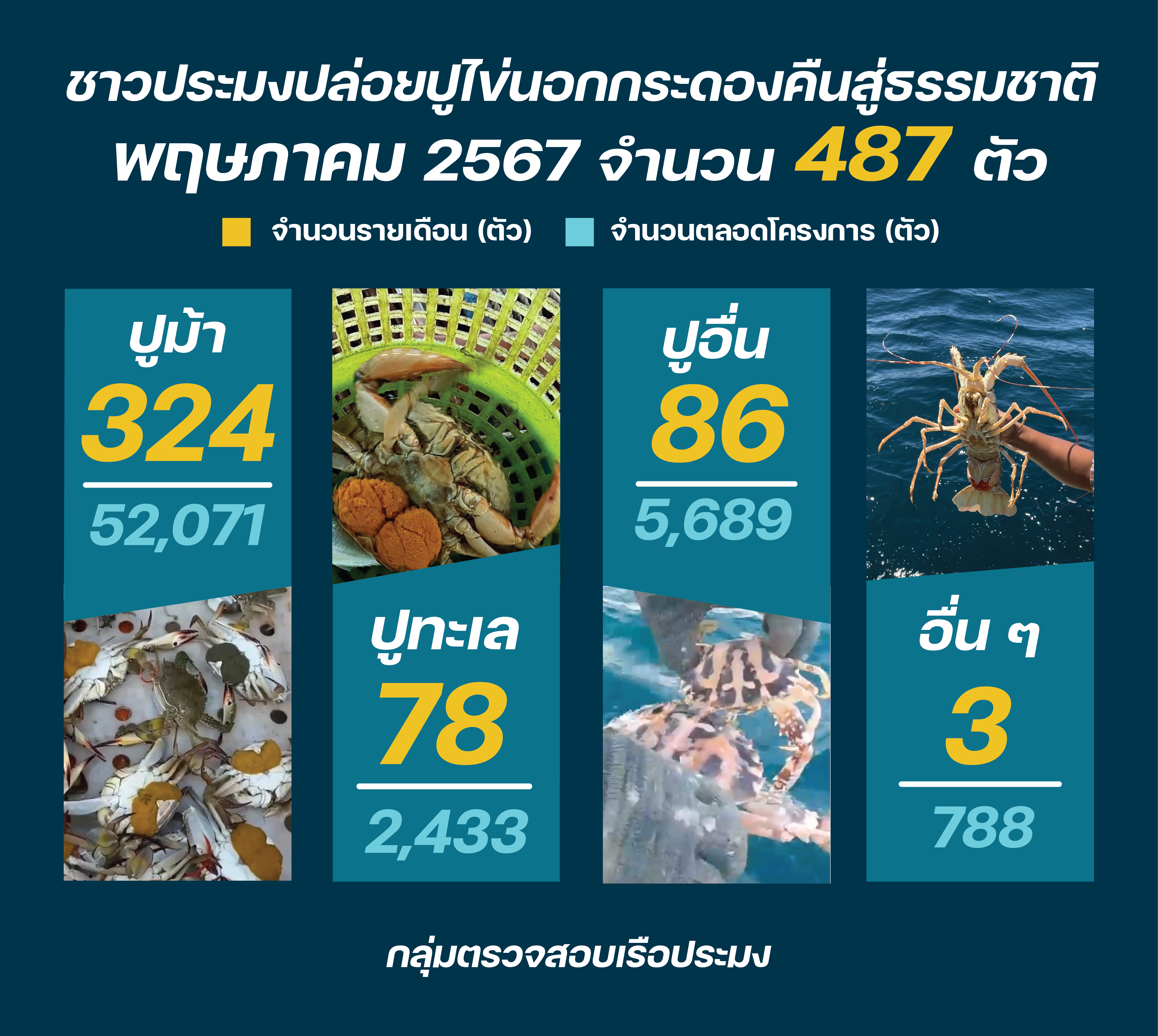 ชาวประมง ปล่อยปูไข่ พฤษภาคม 2567..คลิก